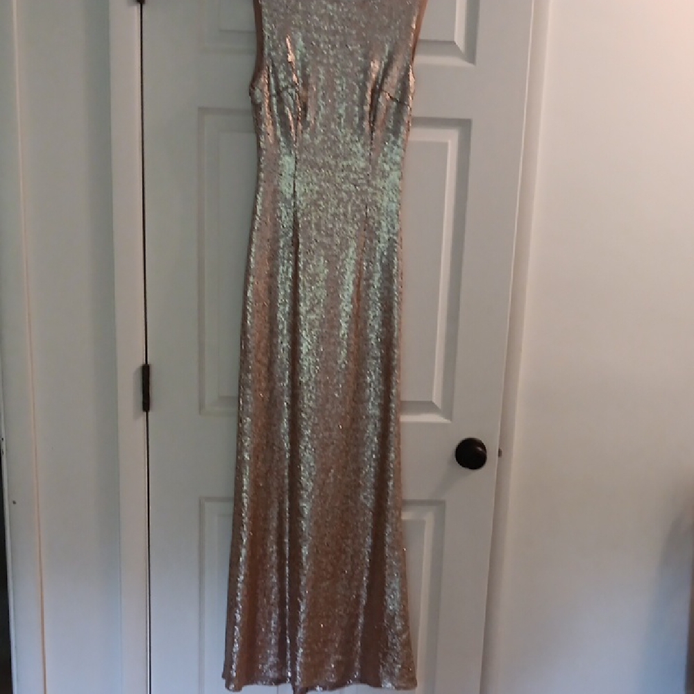 Lulu's Sequined Gown